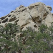 MonoBasin 185 : MonoBasin